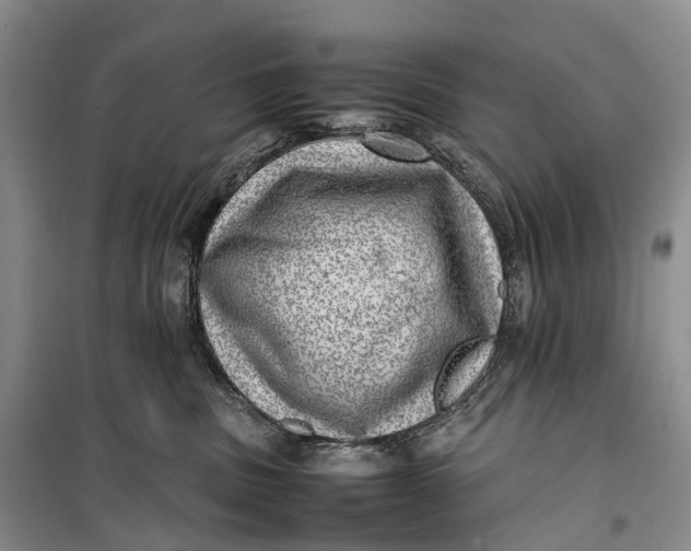 X0000100230379200806131341