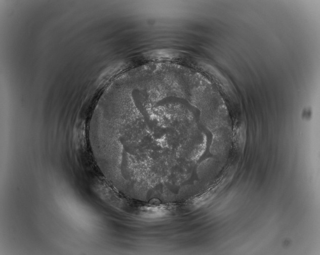 X0000100230381200806131341