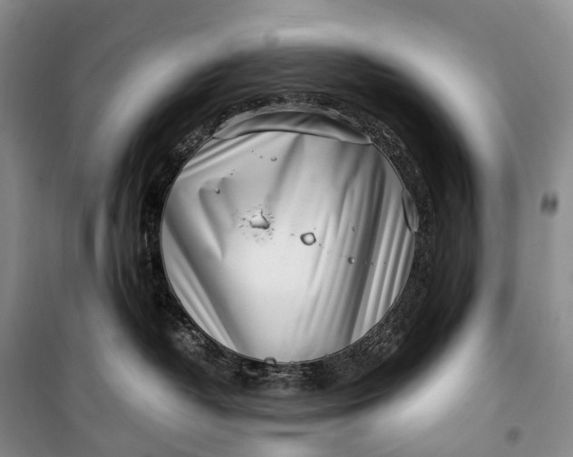 X0000100230382200806131341