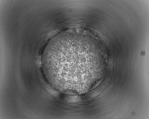 X0000100230383200806131341