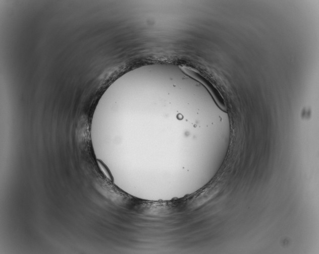 X0000100230384200806131341