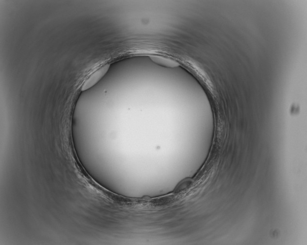 X0000100230385200806131341