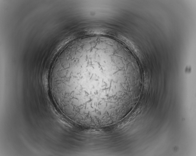 X0000100230386200806131341