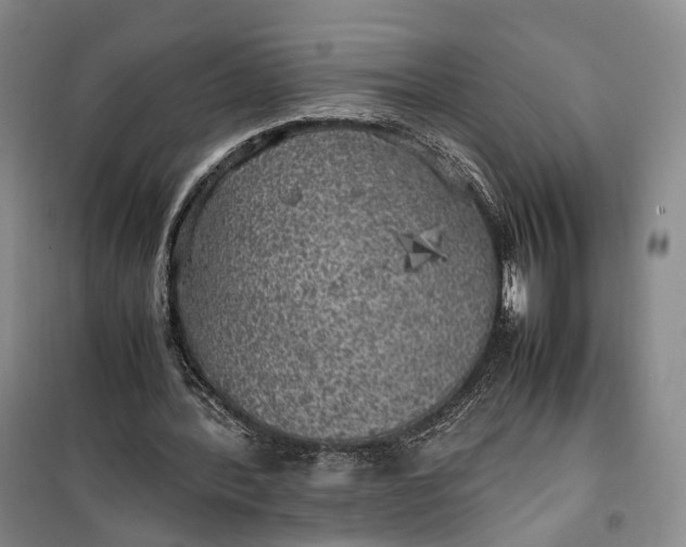 X0000100230388200806131341