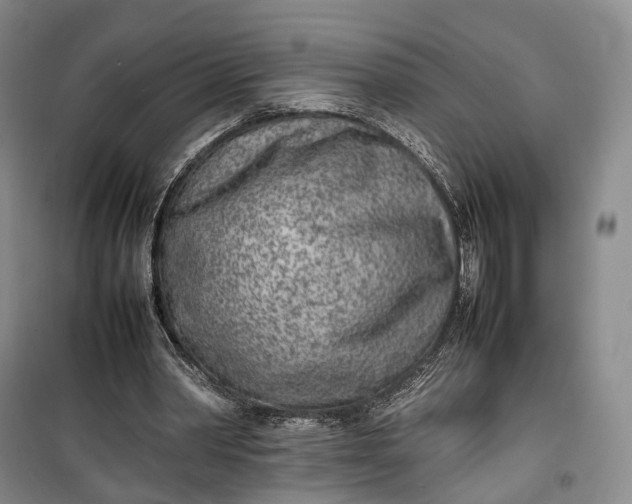 X0000100230390200806131341