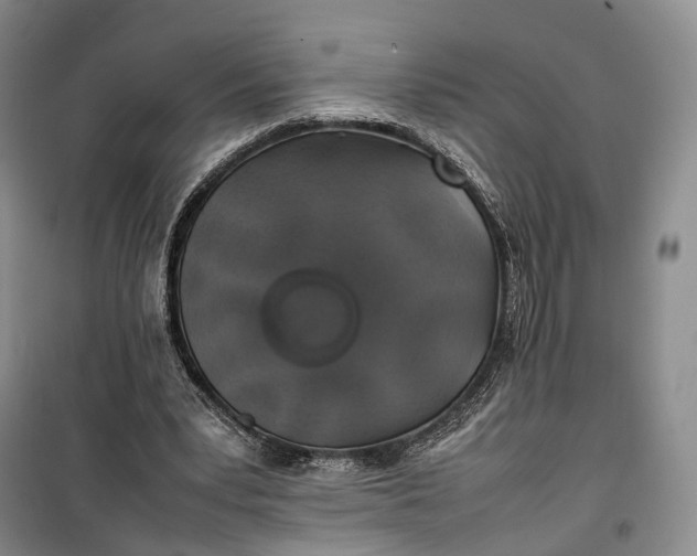 X0000100230391200806131341