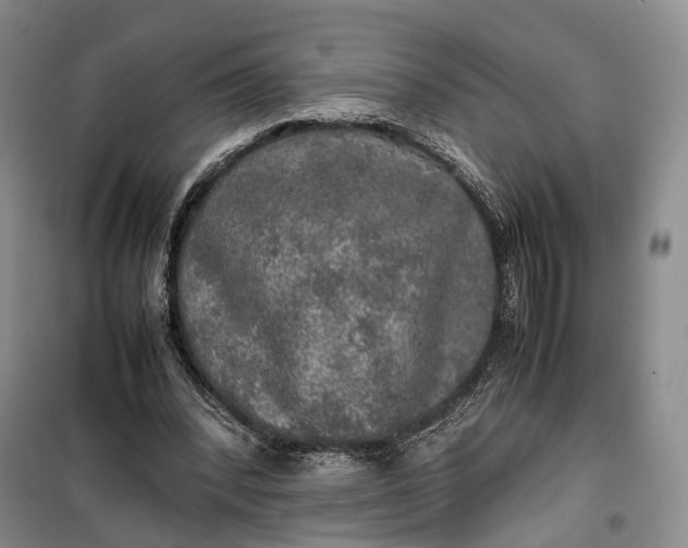 X0000100230392200806131341