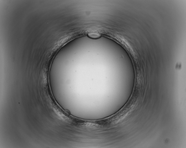 X0000100230393200806131341