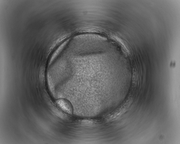 X0000100230394200806131341