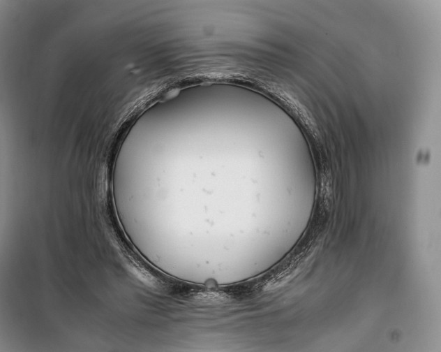 X0000100230397200806131341