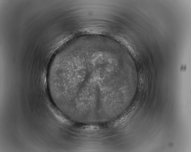 X0000100230398200806131341