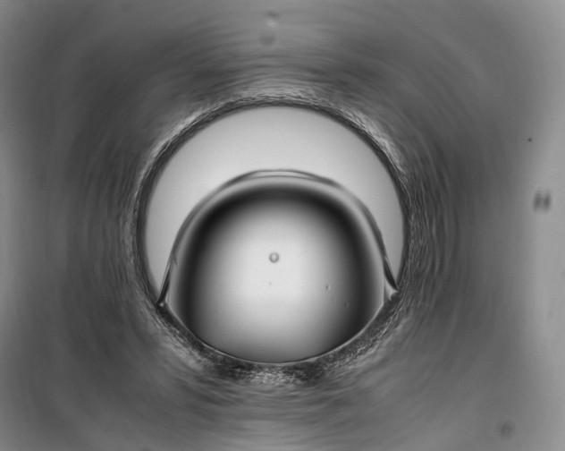 X0000100230399200806131341