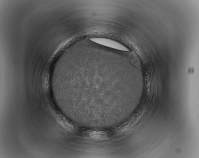 X0000100230400200806131341