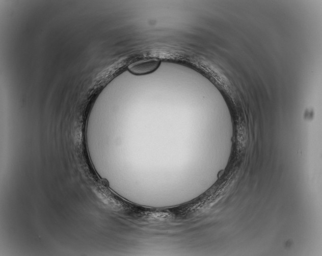 X0000100230401200806131341