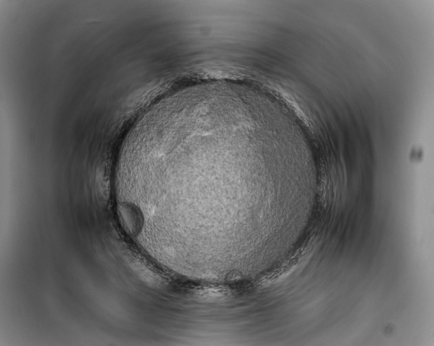 X0000100230402200806131341