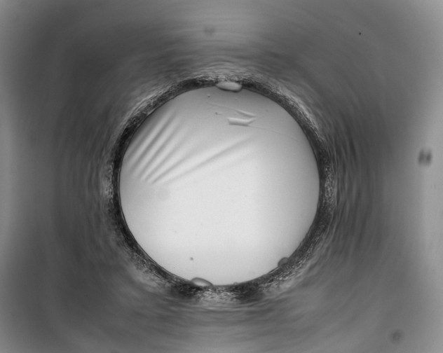 X0000100230403200806131341