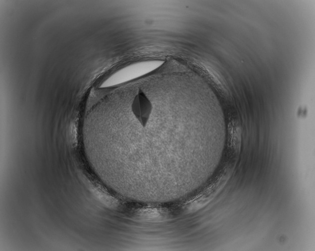 X0000100230404200806131341