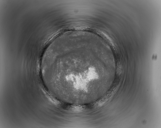 X0000100230405200806131341