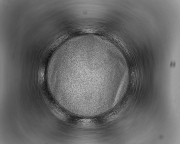 X0000100230406200806131341