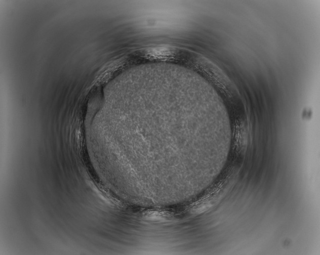 X0000100230408200806131341