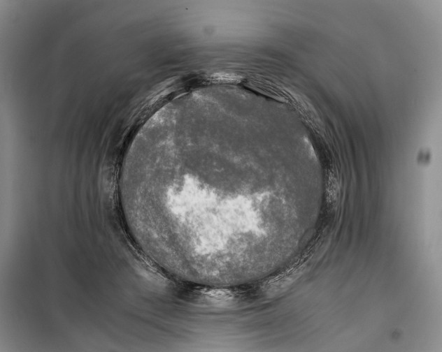 X0000100230409200806131341