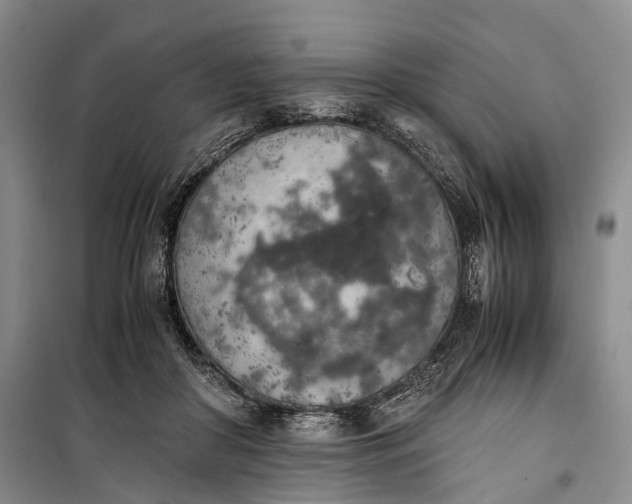 X0000100230410200806131340