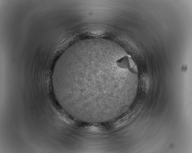 X0000100230412200806131340