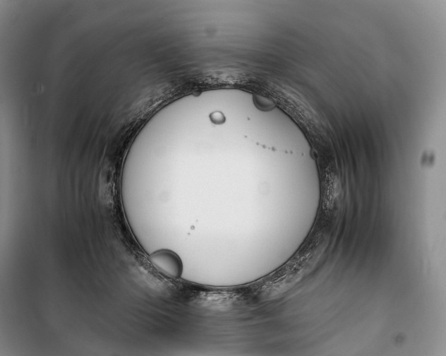 X0000100230414200806131340