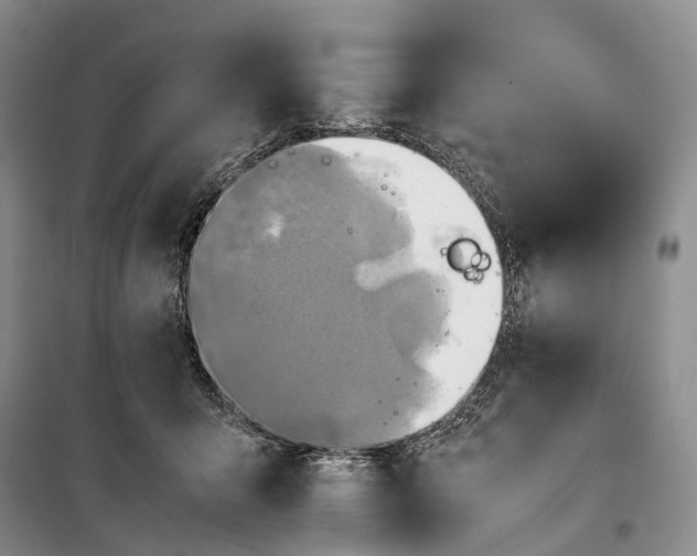 X0000100230415200806131340