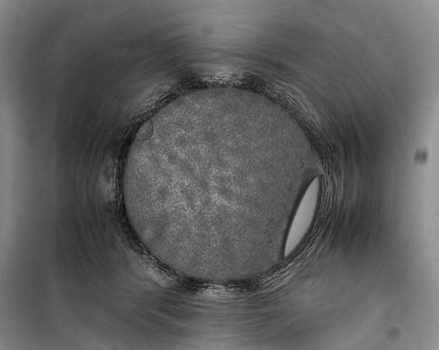 X0000100230416200806131340