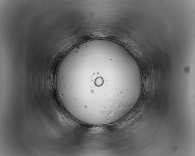 X0000100230418200806131340