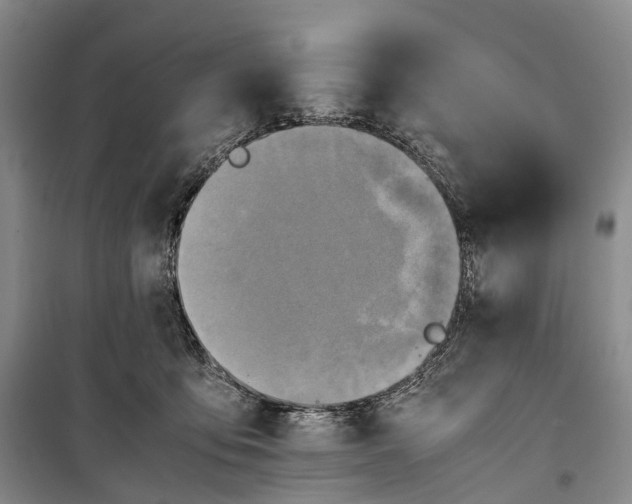 X0000100230419200806131340