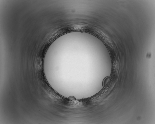 X0000100230421200806131340