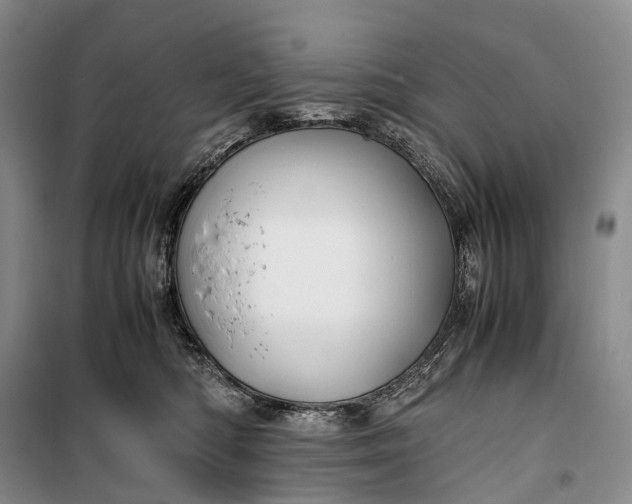 X0000100230422200806131340