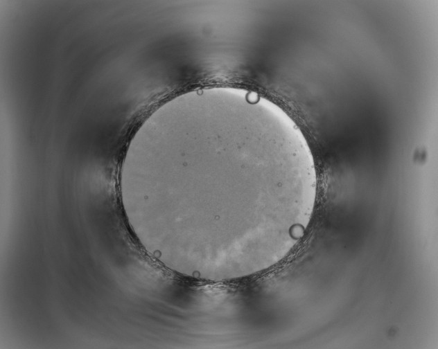 X0000100230423200806131340