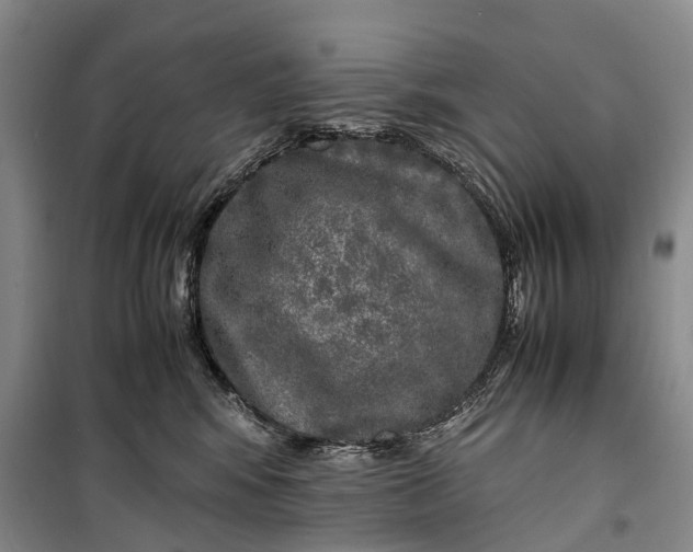 X0000100230424200806131340