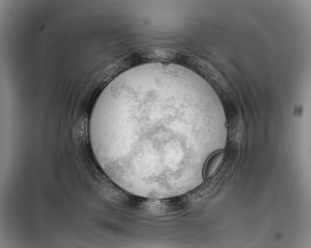 X0000100230425200806131340