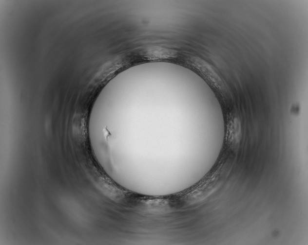 X0000100230426200806131340