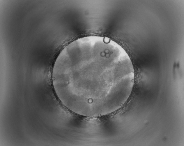 X0000100230427200806131340