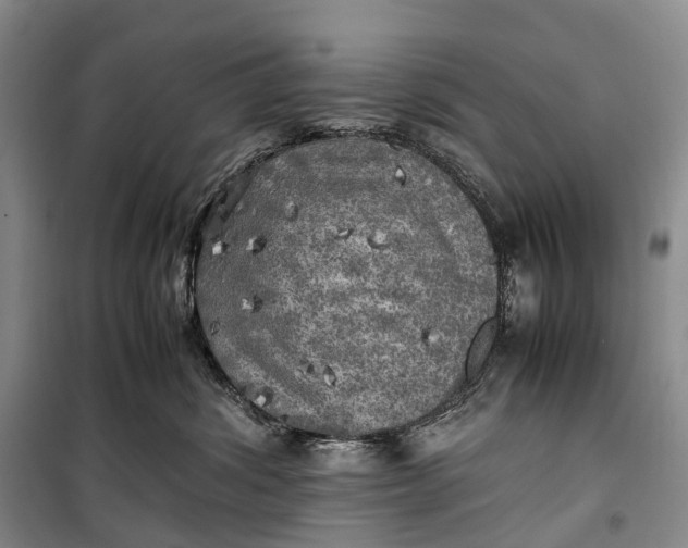 X0000100230428200806131340