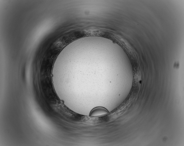 X0000100230429200806131340