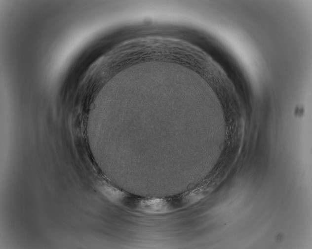 X0000100230431200806131340