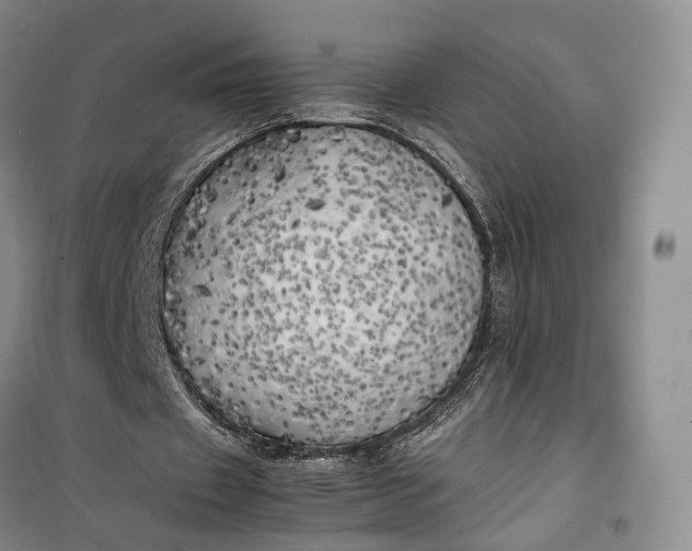 X0000100230433200806131339