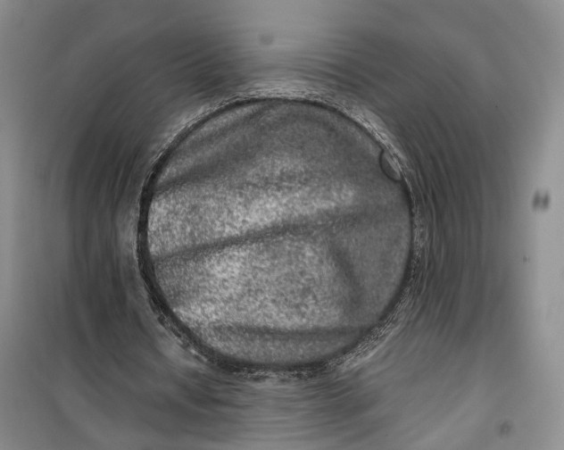 X0000100230434200806131339