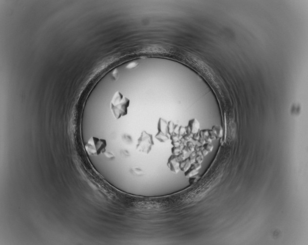 X0000100230435200806131339