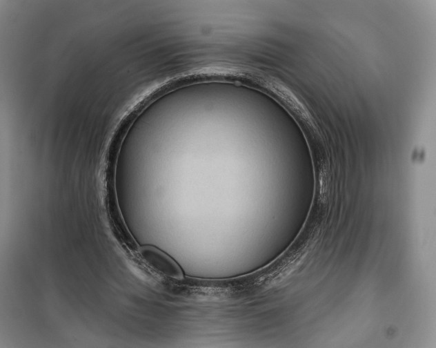 X0000100230436200806131339