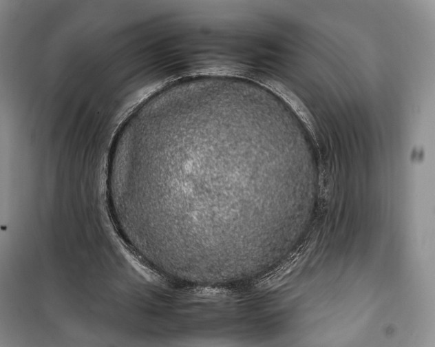 X0000100230437200806131340