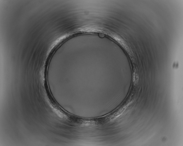 X0000100230438200806131340