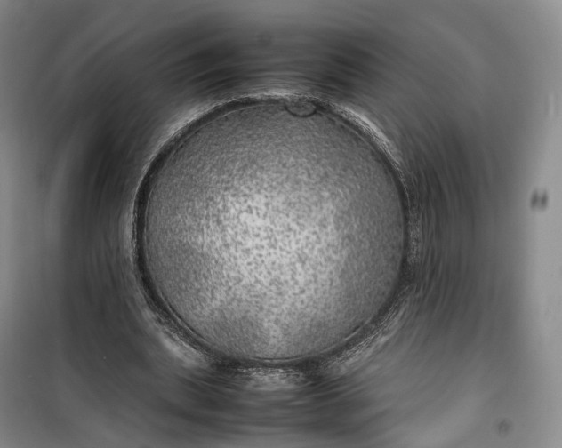 X0000100230439200806131340