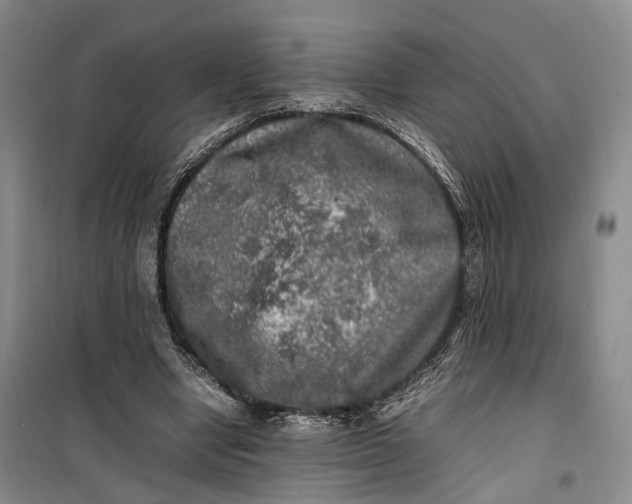 X0000100230442200806131340